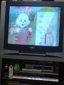 katsunoriのblog-081217_1144~01_0001.jpg