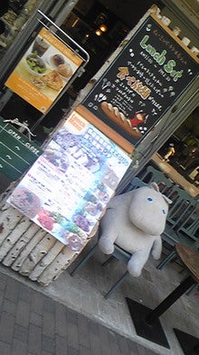 080815_140800.jpg
