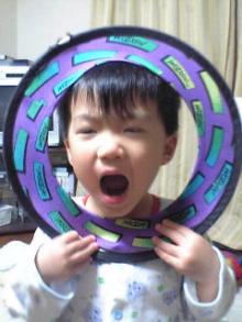 lion2
