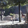 ビールはの画像