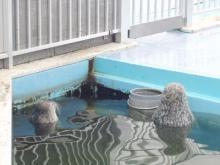 温泉気分