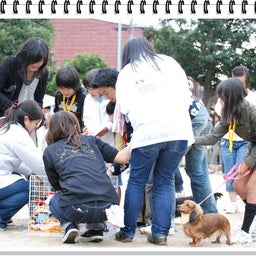 画像 【わんわん運動会ｉｎ２００８！！】Part3♪ の記事より 5つ目