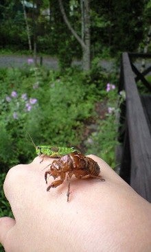 080817_1419~0001.jpg