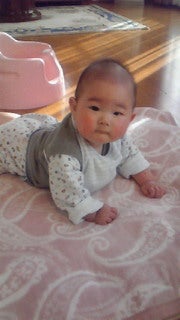 かぴ☆とぴ☆のぃ&クマ達の日記