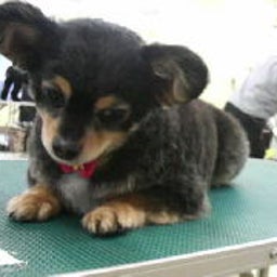 ☆☆☆JUN★LIFE☆☆☆-2009030115120000.jpg