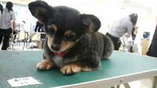 ☆☆☆JUN★LIFE☆☆☆-2009030115120000.jpg