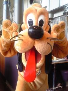 DVC00321_M.jpg