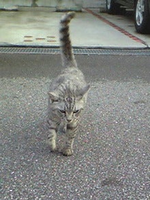 Image136.jpg