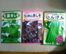 Ｋａｊｉ’ｓ   Ｂａｒ．-200901161307000.jpg