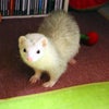 何が違うの？？の画像