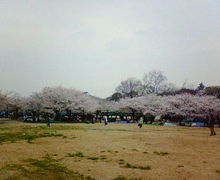 200704071150000.jpg
