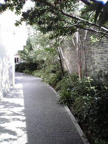 2008082714240000.jpg