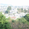 季節を感じますね～の画像