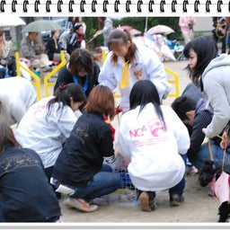 画像 【わんわん運動会ｉｎ２００８！！】Part3♪ の記事より 8つ目