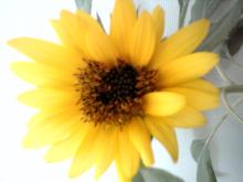 05-09-01_13-39.jpg