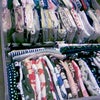 てぬぐいの画像