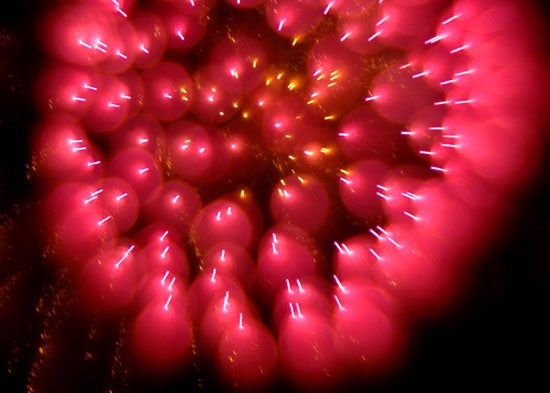 hanabi5