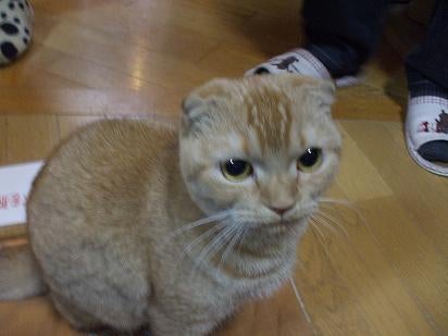 RIEのBLOG-たわしその2