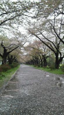 北上展勝地4