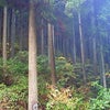 山の画像