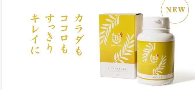 健康博士の日記帳
