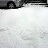 初めての雪遊び♪の画像