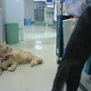 後編。の画像