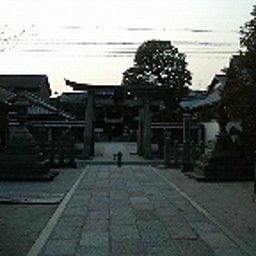 ハチの日記-200902021634001.jpg