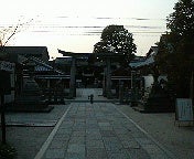 ハチの日記-200902021634001.jpg