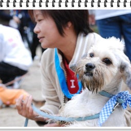 画像 【わんわん運動会ｉｎ２００８！！】Part3♪ の記事より 31つ目
