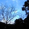 これから美術館だよ。の画像
