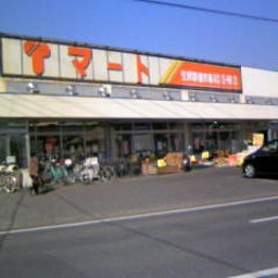 081114_110257.JPG