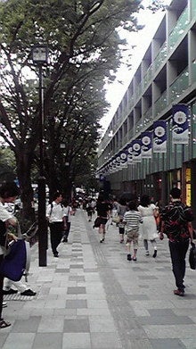 2008080116100000.jpg