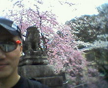 200704011420000.jpg