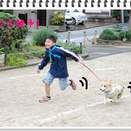 画像 【  わんわん運動会！！ｉｎ２００８】Part２♪ の記事より 59つ目