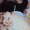 おひさです～の画像