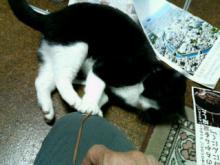 200602060053000.jpg