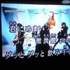 169:ﾌｨﾊﾞｰ。の画像