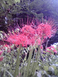 2008092110080000.jpg