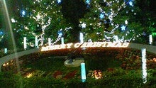 NEC_0780.jpg