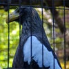 上野動物園の画像