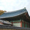 昌徳宮　宣政殿～散策の画像