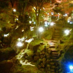 200811291730000.jpg