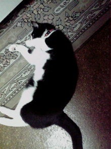 2008091515570000.jpg