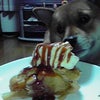 アップルパイ♪の画像