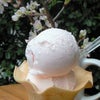 春の期間限定アイスクリーム「さくら」本日より発売！！！の画像